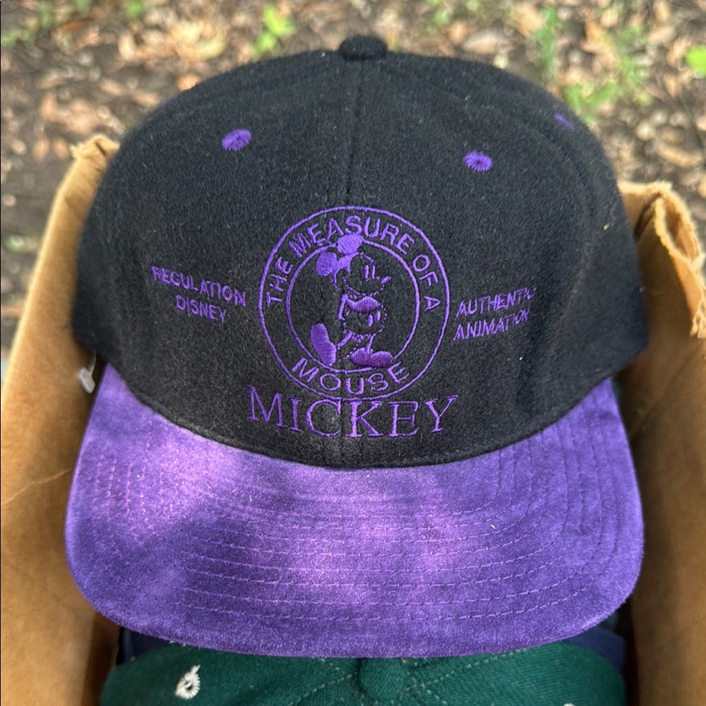 Disney Mickey Black and Purple Hat